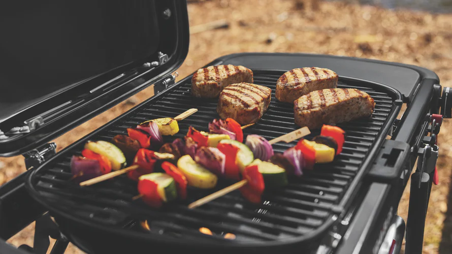 weber-traveler-compact-portable-gas-bbq