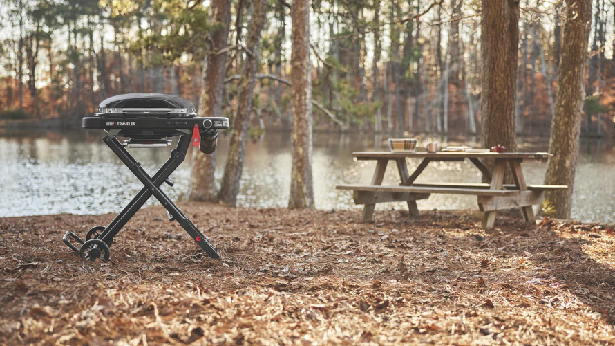 weber-traveler-compact-portable-gas-bbq
