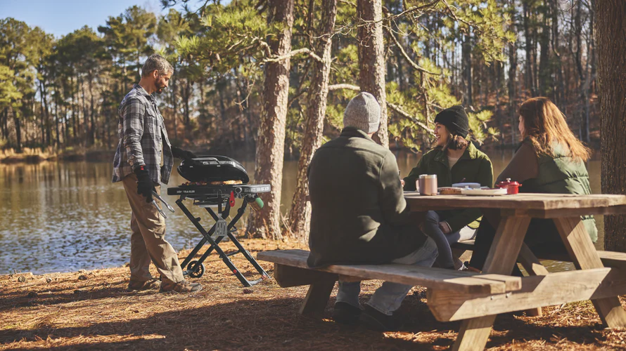 weber-traveler-compact-portable-gas-bbq