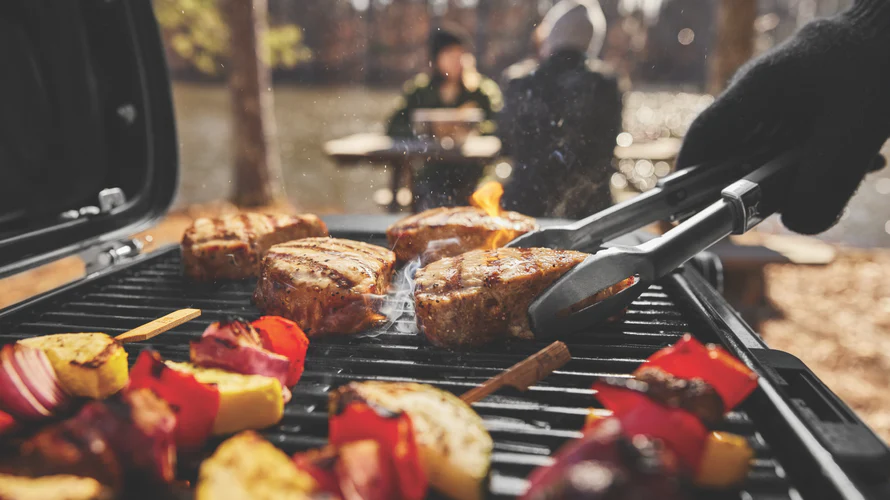 weber-traveler-compact-portable-gas-bbq