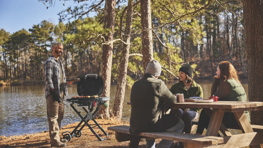 weber-traveler-compact-portable-gas-bbq
